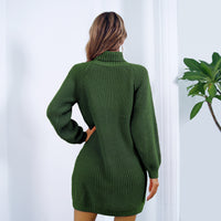 Thumbnail for Winter Turtleneck Long Sweater Dress