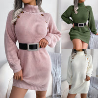Thumbnail for Winter Turtleneck Long Sweater Dress