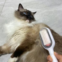 Thumbnail for Hair Removal Brushes for Pets