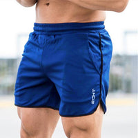 Thumbnail for Gym Shorts - NetPex